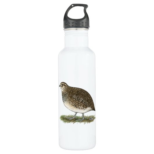 Bouteille D'eau En Acier Inoxydable Coturnix Quail (Devant)