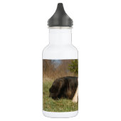 Bouteille D'eau En Acier Inoxydable Couple de chien mignon (Gauche)