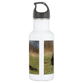 Bouteille D'eau En Acier Inoxydable Couple de chien mignon (Dos)