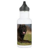 Bouteille D'eau En Acier Inoxydable Couple de chien mignon (Droite)