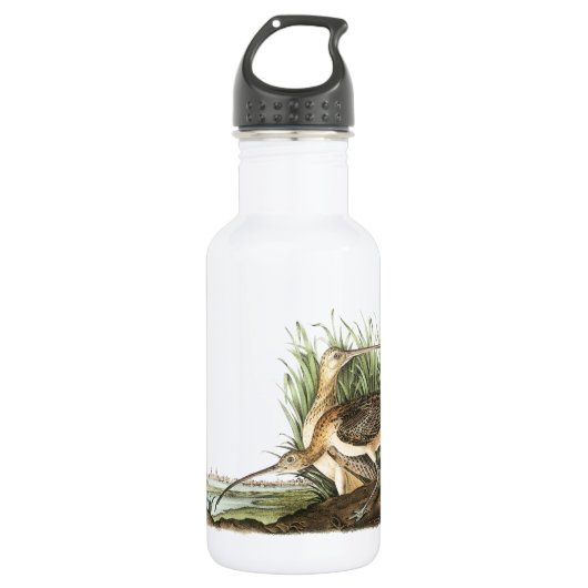 Bouteille D'eau En Acier Inoxydable Courlis à long bec par Audubon (Devant)