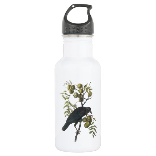Bouteille D'eau En Acier Inoxydable Crow américain par Audubon (Devant)