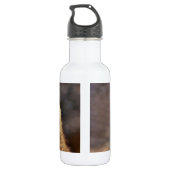 Bouteille D'eau En Acier Inoxydable Curieux Raccoon (Dos)