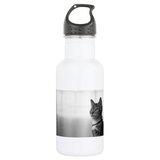Bouteille D'eau En Acier Inoxydable Cute chat (Devant)