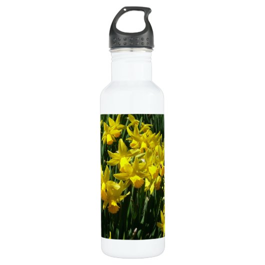 Bouteille D'eau En Acier Inoxydable Daffodiles Jaunes I Fleurs De Printemps Cheveux (Devant)