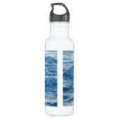 Bouteille D'eau En Acier Inoxydable Dauphin (Dos)