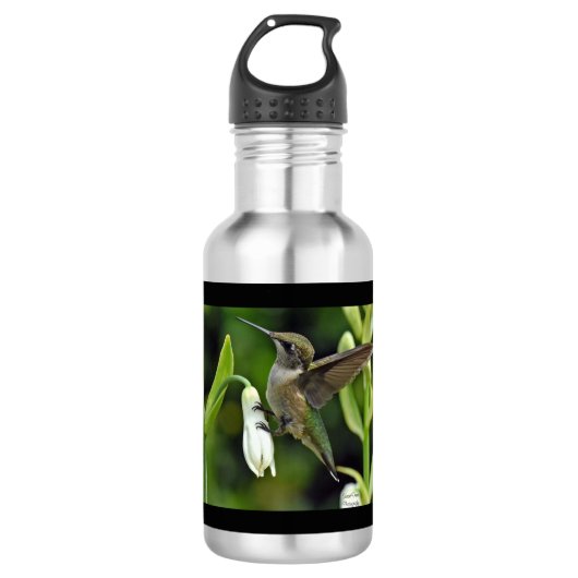 Bouteille d'eau en acier inoxydable de colibri (Devant)