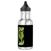 Bouteille d'eau en acier inoxydable de colibri (Droite)