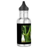 Bouteille d'eau en acier inoxydable de colibri (Gauche)