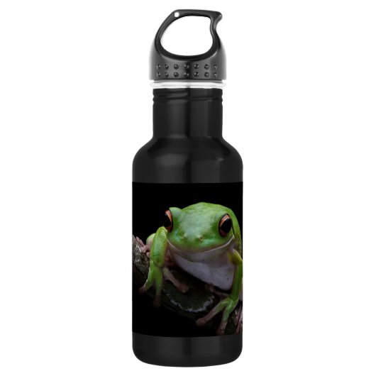 Bouteille d'eau en acier inoxydable de grenouille (Devant)