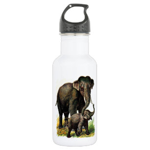 Bouteille D'eau En Acier Inoxydable Dessin vintage : Éléphant de mère avec le veau