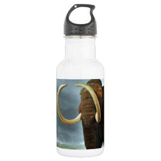 Bouteille D'eau En Acier Inoxydable Destin de mod de mammouth laineux