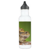 Bouteille D'eau En Acier Inoxydable Deux crapauds communs Bufo Bufo ensemble (Droite)
