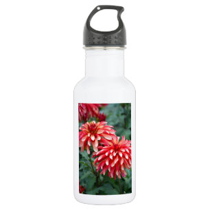 Bouteille D'eau En Acier Inoxydable Deux fleurs dahlia roses