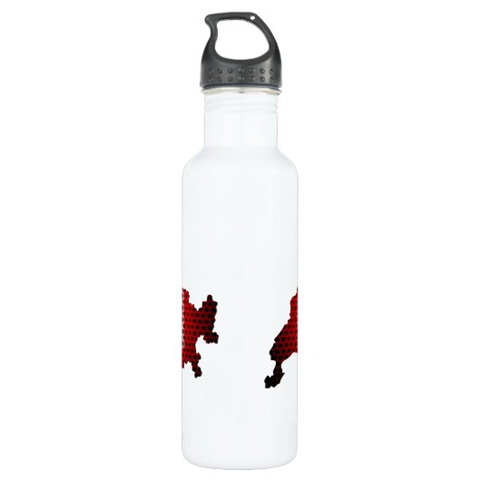 Bouteille D'eau En Acier Inoxydable Drapeau et carte Suisse (Dos)