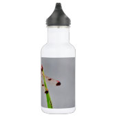 BOUTEILLE D'EAU EN ACIER INOXYDABLE DSC00029.JPG (Droite)