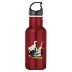 Bouteille D'eau En Acier Inoxydable Duck Quartet