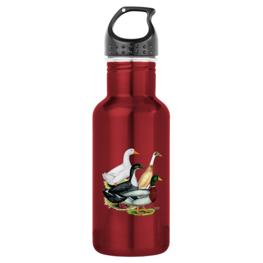 Bouteille D'eau En Acier Inoxydable Duck Quartet (Devant)