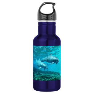 Bouteille D'eau En Acier Inoxydable Duo de dauphin