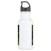 Bouteille D'eau En Acier Inoxydable Eagle chauve américain (Dos)