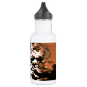 BOUTEILLE D'EAU EN ACIER INOXYDABLE EAU (Droite)