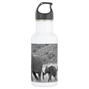 Bouteille D'eau En Acier Inoxydable Famille des éléphants sud-africains