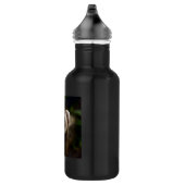 Bouteille D'eau En Acier Inoxydable Ferret (Droite)