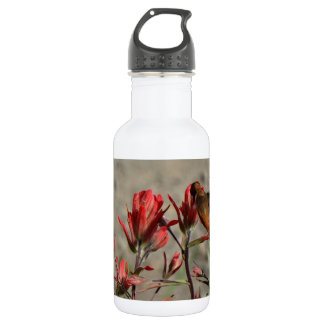 Bouteille D'eau En Acier Inoxydable Fleurs cardinales de colibri