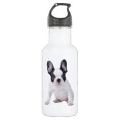 Bouteille D'eau En Acier Inoxydable Frenchie - Chien français (Devant)