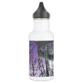 Bouteille D'eau En Acier Inoxydable golf sur disque (Gauche)