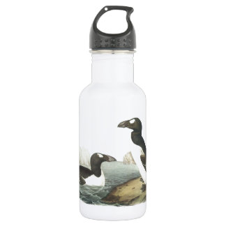 Bouteille D'eau En Acier Inoxydable Great Auk par Audubon