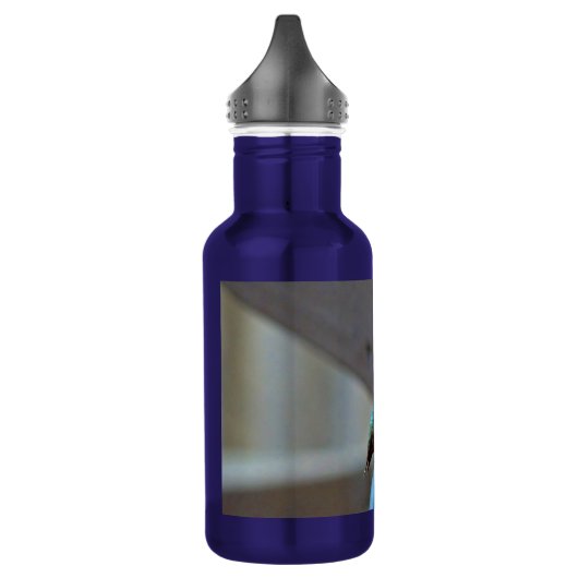 Bouteille D'eau En Acier Inoxydable Green ruby little hummingbird (Gauche)