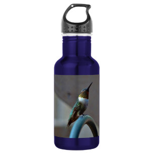 Bouteille D'eau En Acier Inoxydable Green ruby little hummingbird
