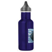 Bouteille D'eau En Acier Inoxydable Irrawaddy Dolphin Peek-A-Boo (Gauche)