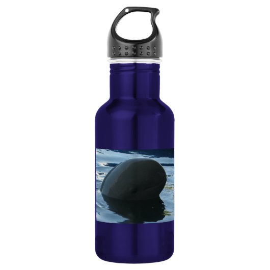 Bouteille D'eau En Acier Inoxydable Irrawaddy Dolphin Peek-A-Boo (Devant)