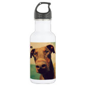 Bouteille D'eau En Acier Inoxydable J'Coeur Mon Chien Doberman Naturel (Devant)