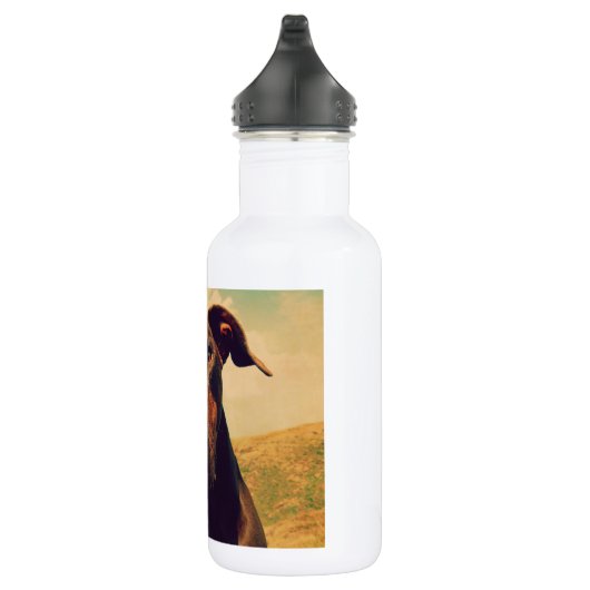 Bouteille D'eau En Acier Inoxydable J'Coeur Mon Chien Doberman Naturel (Droite)