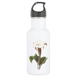 Bouteille D'eau En Acier Inoxydable jimsonweed(Datura lavis) par Redouté
