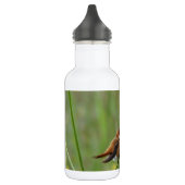 Bouteille D'eau En Acier Inoxydable Joli petit colibri (Gauche)