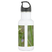 Bouteille D'eau En Acier Inoxydable Joli petit colibri (Dos)