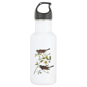 Bouteille D'eau En Acier Inoxydable Junco aux yeux foncés par Audubon