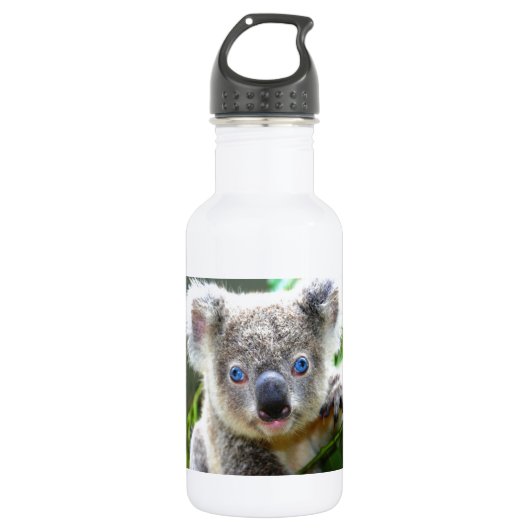 Bouteille D'eau En Acier Inoxydable Koala Bears (Devant)