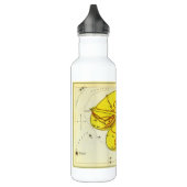 Bouteille D'eau En Acier Inoxydable La bibliothèque met à l'échelle la constellation V (Gauche)