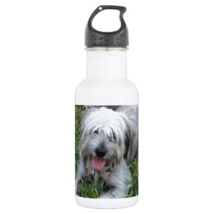 Bouteille D'eau En Acier Inoxydable Lazy Mutt
