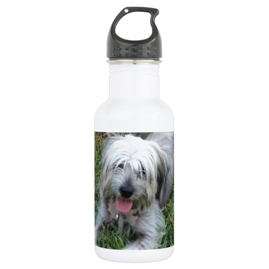 Bouteille D'eau En Acier Inoxydable Lazy Mutt (Devant)