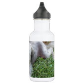 Bouteille D'eau En Acier Inoxydable Lazy Mutt (Droite)