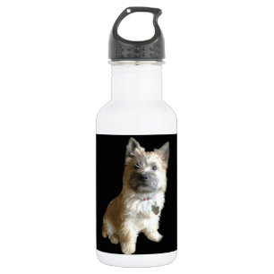 Bouteille D'eau En Acier Inoxydable Le cairn Terrier le plus mignon jamais ! Plus