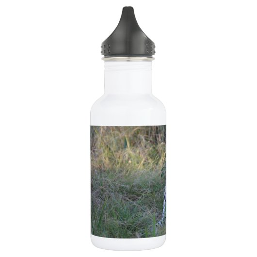 BOUTEILLE D'EAU EN ACIER INOXYDABLE LEOPARD  (Gauche)