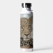 Bouteille d'eau en acier inoxydable Leopard 22 oz. (Gauche)