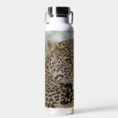 Bouteille d'eau en acier inoxydable Leopard 22 oz. (Avant)